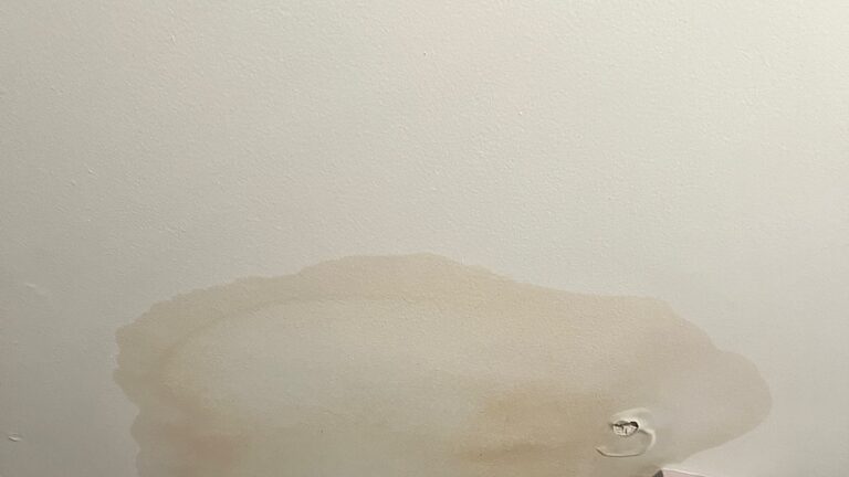 Water stain on a ceiling in a Philadelphia-area home, the kind of spot often painted over