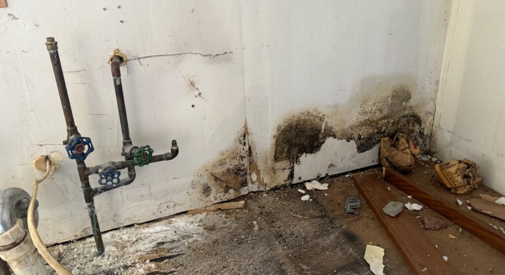 Mold along the bottom of a wall beside plumbing lines, a sign of a slow leak