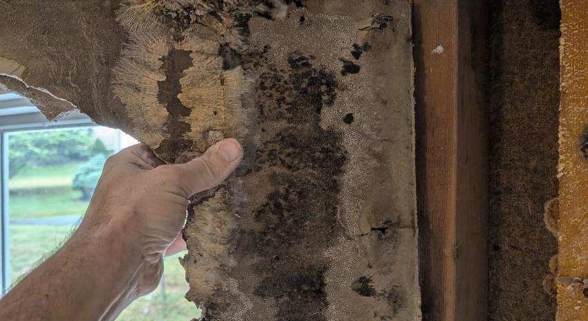 Mold found behind the wall beside a window frame